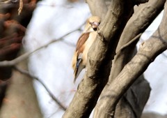 隣町の公園「上半分だけシメ」