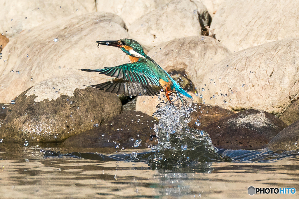 いつもの公園「右良し」（２）