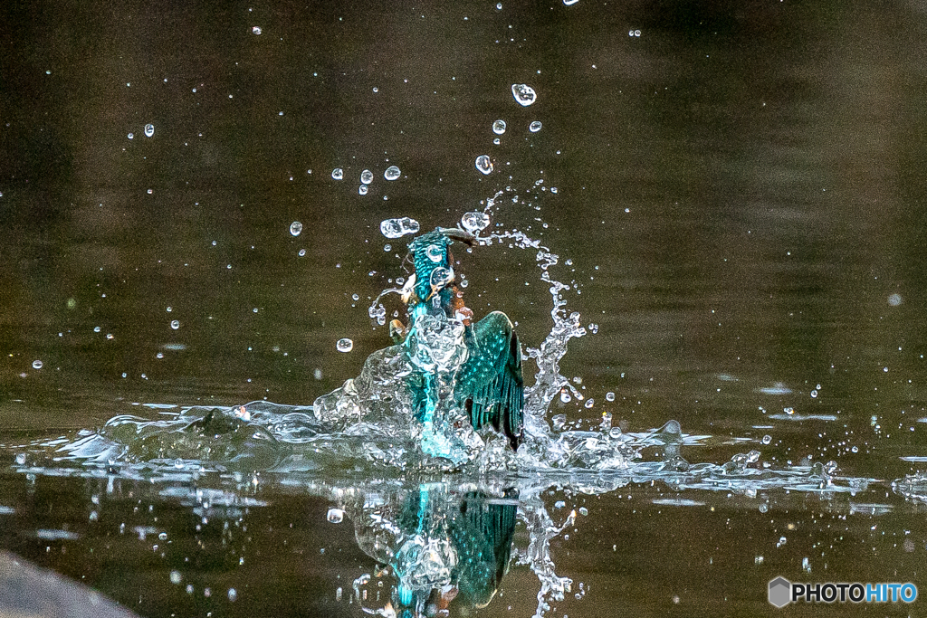 いつもの公園「水光」（１）