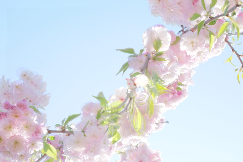 空に溶け込む
