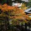 京都　竜安寺紅葉４－３「方丈内紅葉」