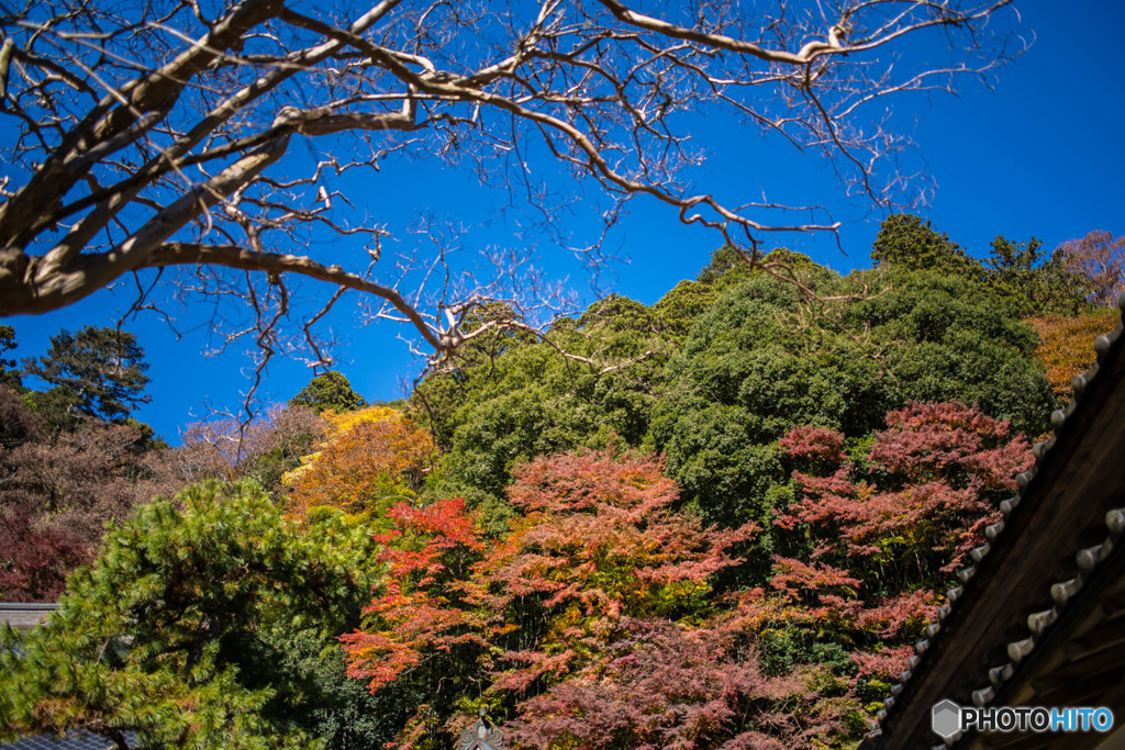 錦秋雲巌寺（１）