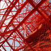東京タワー　７－６「細骨」