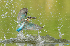 いつもの公園「水遊び」
