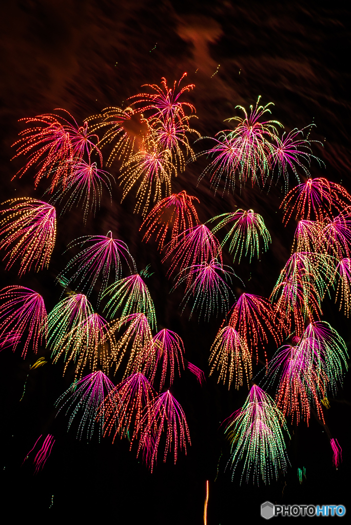 夜花（１6）