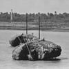 １９７９年インド　ガンジス河にて　２
