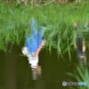 夏休み　「お散歩行こうか」