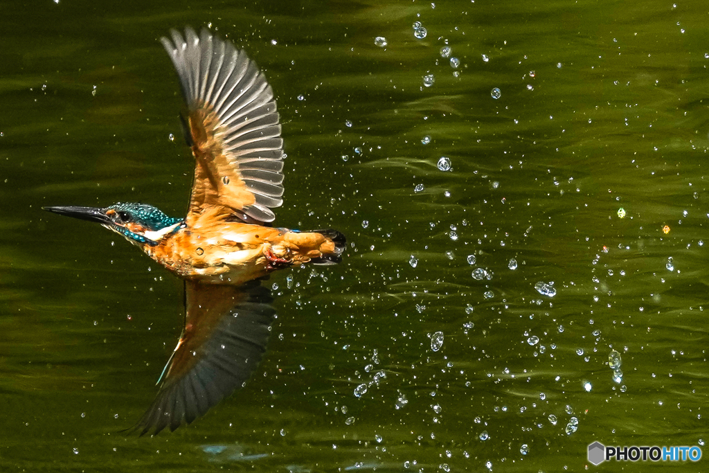 いつもの公園「機械力」（６）