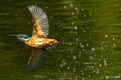 いつもの公園「機械力」（６）