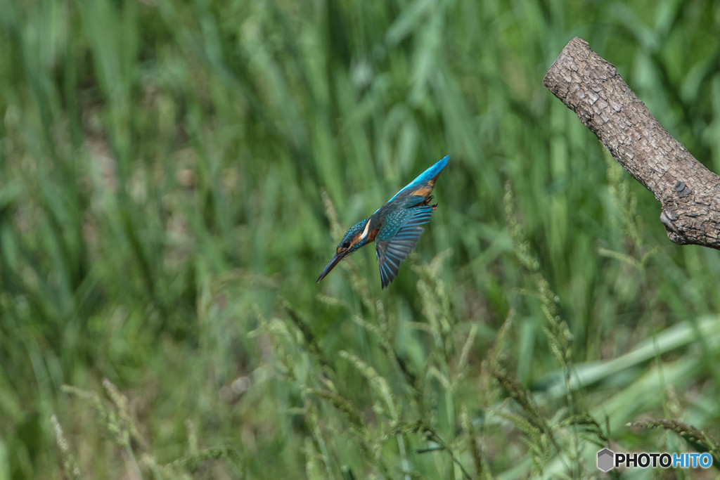 いつもの公園「新しい居場所、気に入っていただけたでしょうか？」（７）
