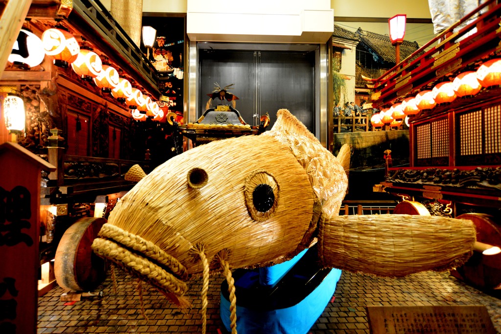 祭囃子「鯉」