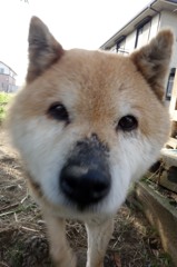 散歩にて