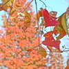錦秋色晴天　紅葉簾　４－４「散紅葉」