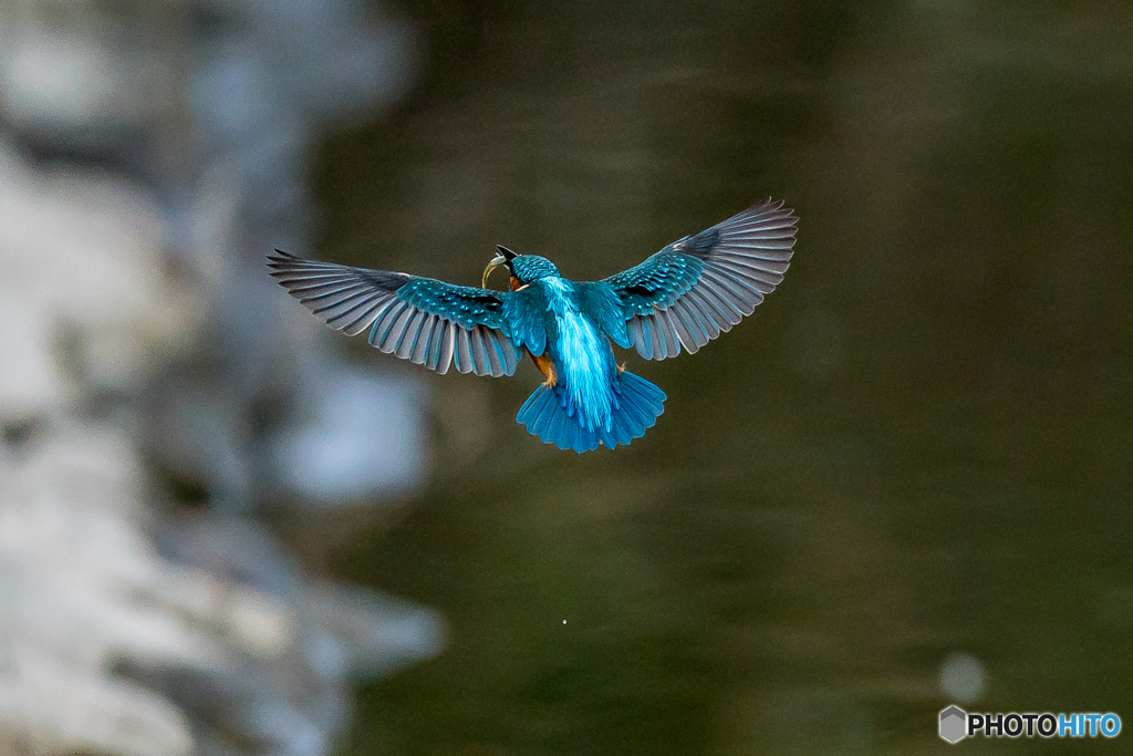 いつもの公園「寒む！」（１）