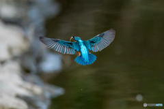 いつもの公園「寒む！」（１）