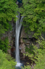 「緑瀑」駒止の滝