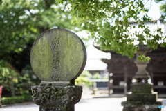 鑁阿寺（ばんなじ）盛夏（足利）「南無阿弥陀仏」