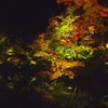 京都　酔秋夜行　７－４「酔秋夜行Ⅳ」