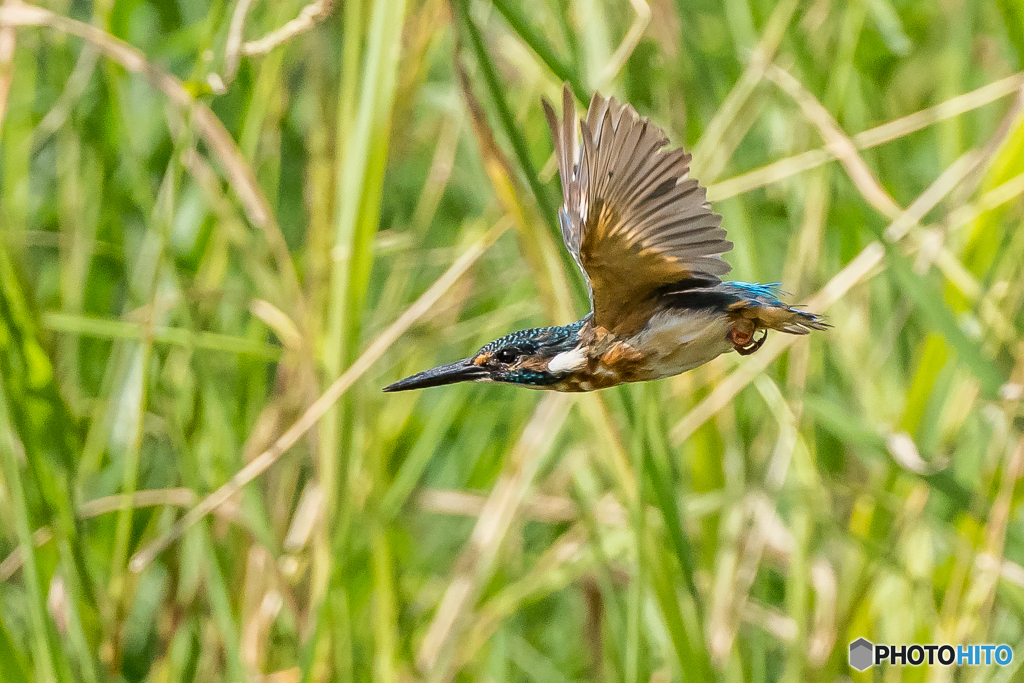 いつもの公園「居心地の良い場所」