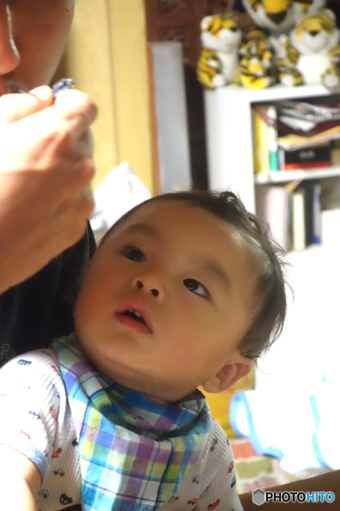 孫　「パパのしていること」