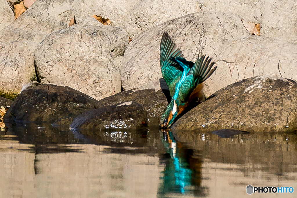 いつもの公園「影踏み遊び」（４）
