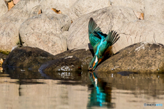 いつもの公園「影踏み遊び」（４）