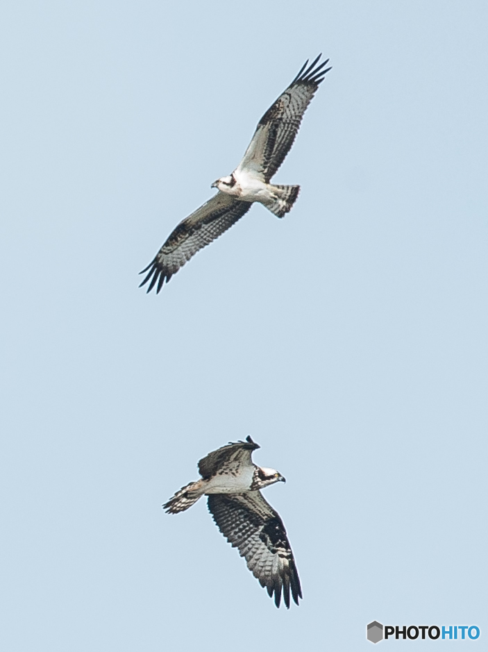 冬、晴晴天（１）