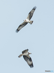 冬、晴晴天（１）