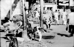 1979年、南インド　マドラス　７－７「神の化身」
