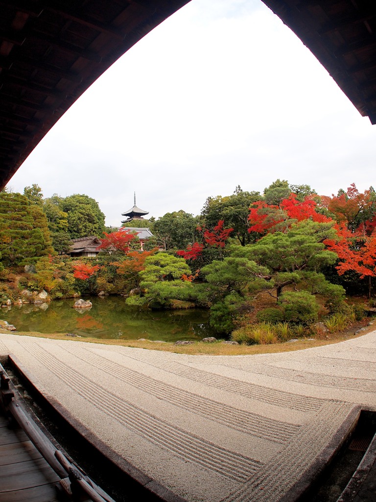 京都　御室仁和寺　１０－７「錦秋Ⅱ」