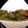 京都　御室仁和寺　１０－７「錦秋Ⅱ」