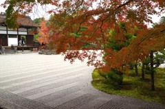 京都　御室仁和寺　１０－６「錦秋」