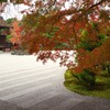 京都　御室仁和寺　１０－６「錦秋」