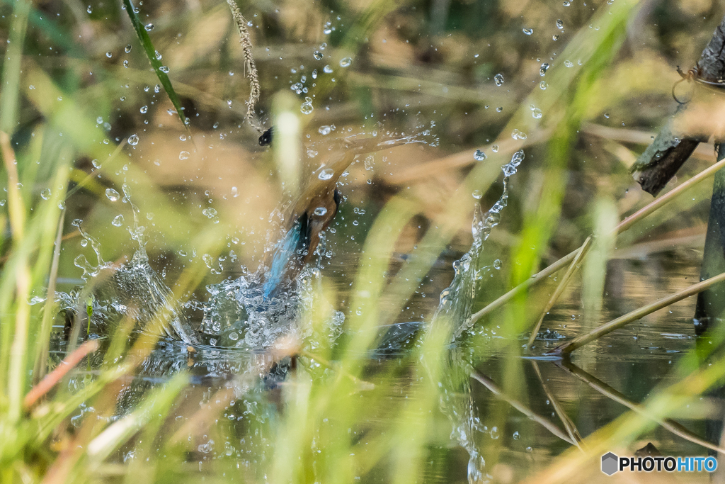 いつもの公園「G難度」（１）