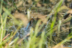 いつもの公園「G難度」（１）