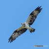 いつもの公園「大空」
