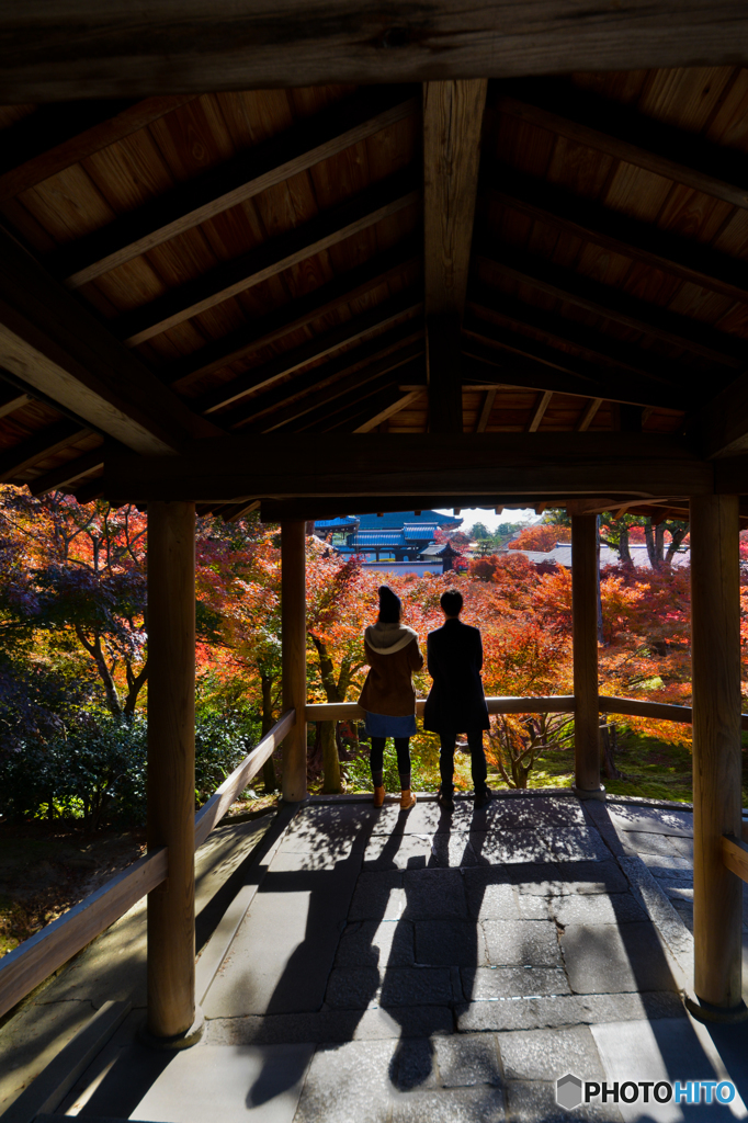 東福寺晩秋「東福寺晩秋」