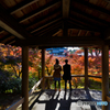 東福寺晩秋「東福寺晩秋」