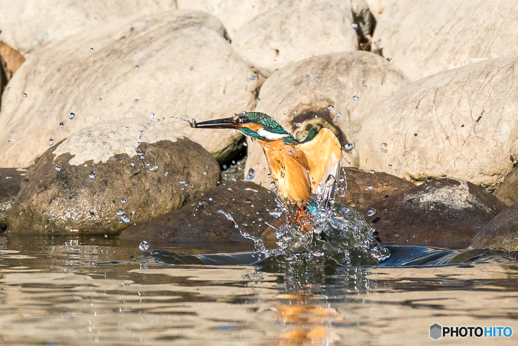 いつもの公園「右良し」（１）