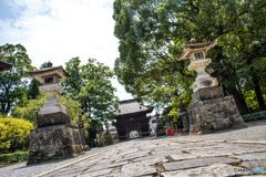 夏気、足利鑁阿寺「夏道」