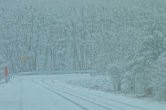 4月13日「雪」（２）