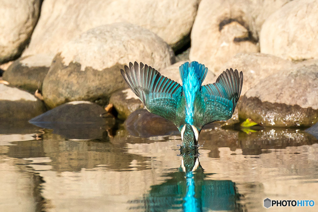 いつもの公園「ライブ！」（１）