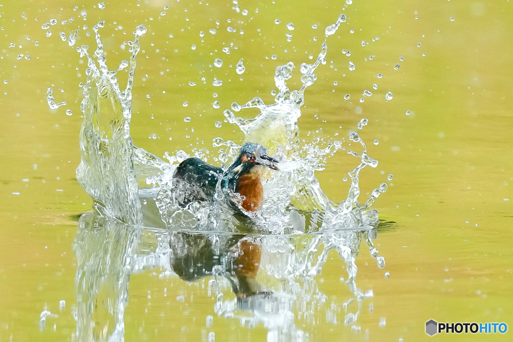 いつもの公園「ザバン！」