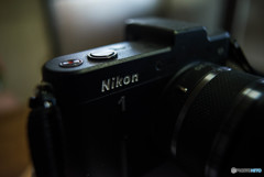 DISTAGONでパチリ