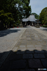夏気、足利鑁阿寺「夏気」
