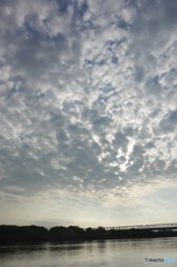 今朝