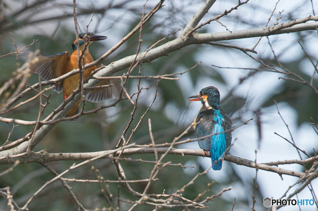 いつもの公園「カップル」