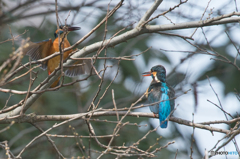 いつもの公園「カップル」