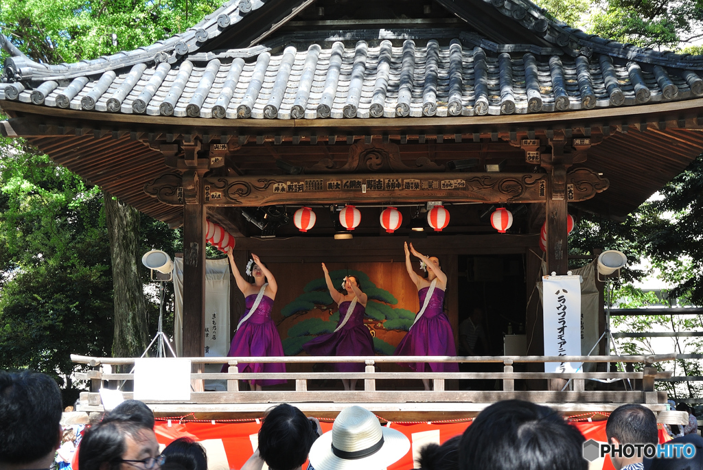 GW谷根千巡り（１６）「フラガール？」