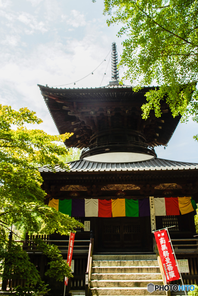 夏気、足利鑁阿寺「夏詣で」